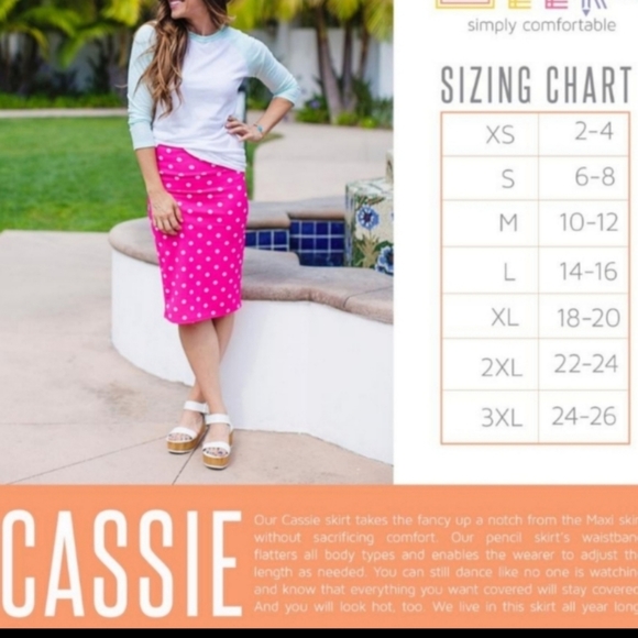 Lularoe Skirt Size XL Cassie Stretch Midi NWT - Picture 9 of 10